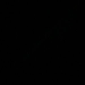 Meet your Posher, Priscilla